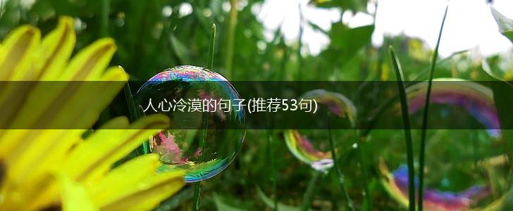人心冷漠的句子(推荐53句),第1张