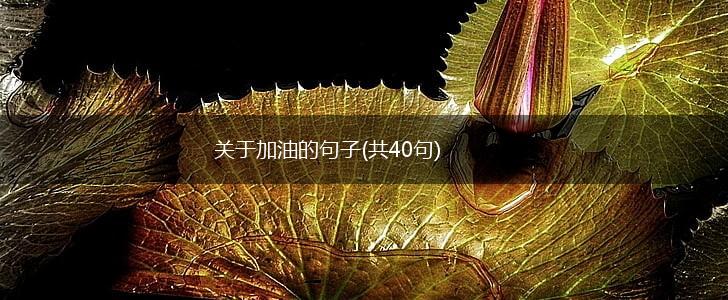 关于加油的句子(共40句),第1张
