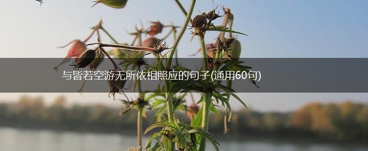 与皆若空游无所依相照应的句子(通用60句),第1张