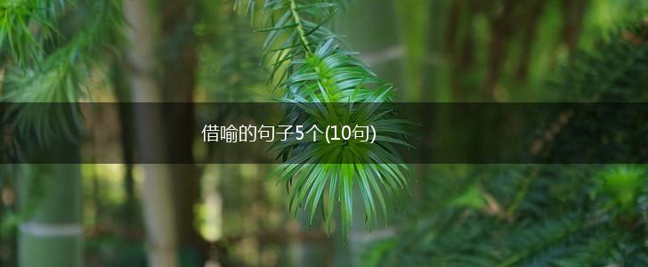 借喻的句子5个(10句),第1张