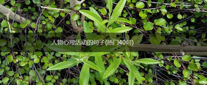人物心理活动的句子(热门40句),第1张
