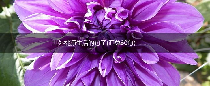 世外桃源生活的句子(汇总30句),第1张