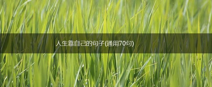 人生靠自己的句子(通用70句),第1张
