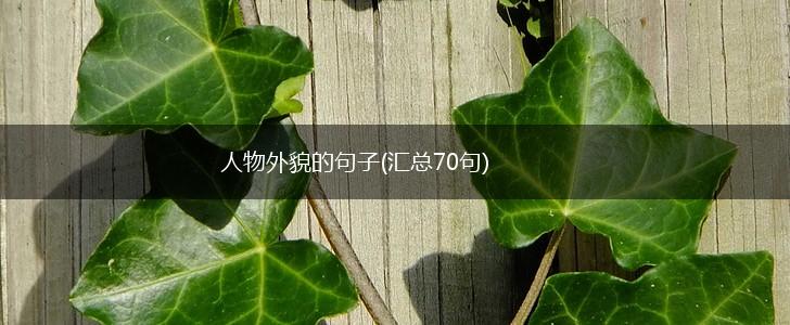 人物外貌的句子(汇总70句),第1张