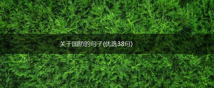 关于国防的句子(优选38句),第1张