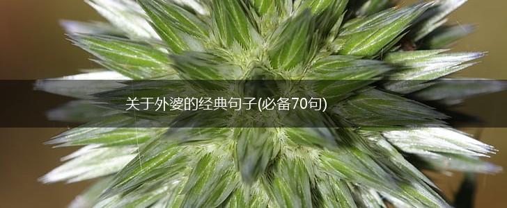 关于外婆的经典句子(必备70句),第1张