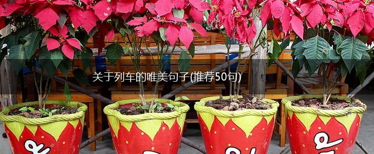 关于列车的唯美句子(推荐50句),第1张
