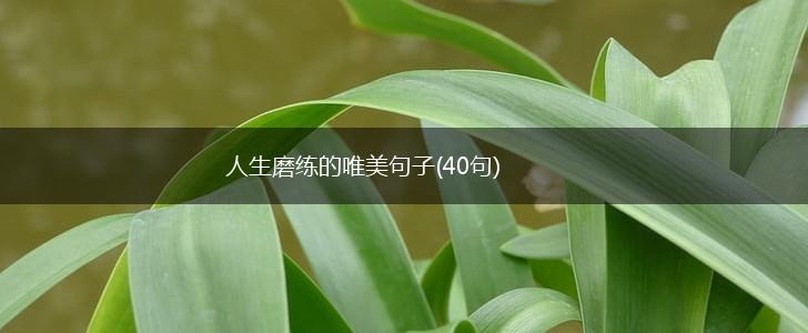 人生磨练的唯美句子(40句),第1张