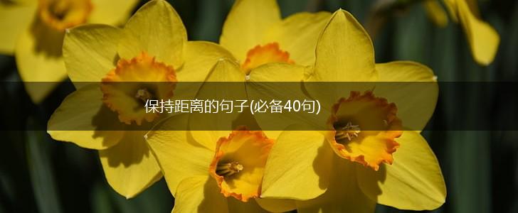 保持距离的句子(必备40句),第1张