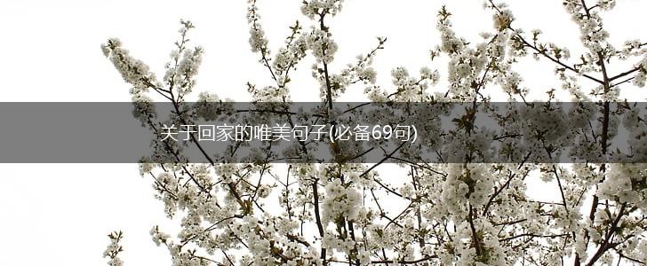 关于回家的唯美句子(必备69句),第1张