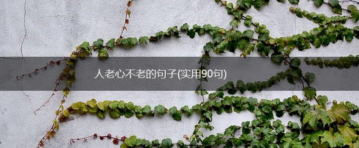 人老心不老的句子(实用90句),第1张
