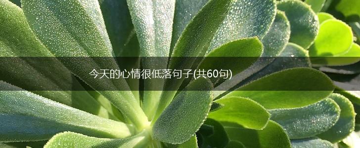 今天的心情很低落句子(共60句),第1张