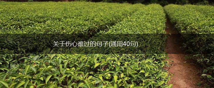 关于伤心难过的句子(通用40句),第1张