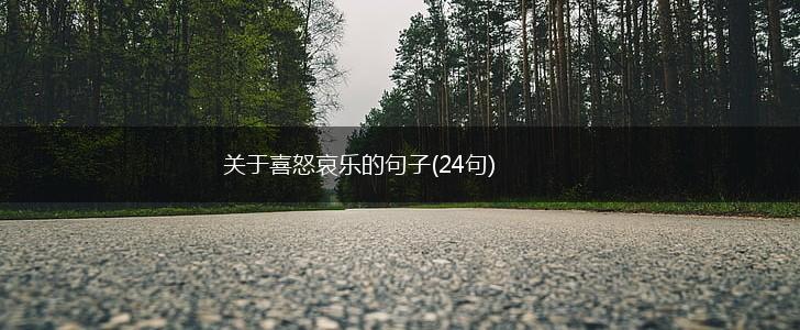 关于喜怒哀乐的句子(24句),第1张