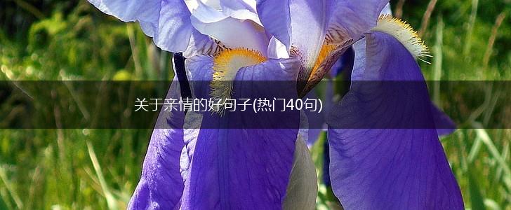 关于亲情的好句子(热门40句),第1张