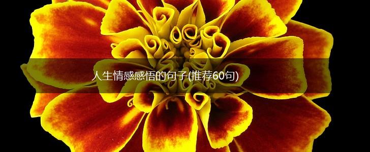 人生情感感悟的句子(推荐60句),第1张