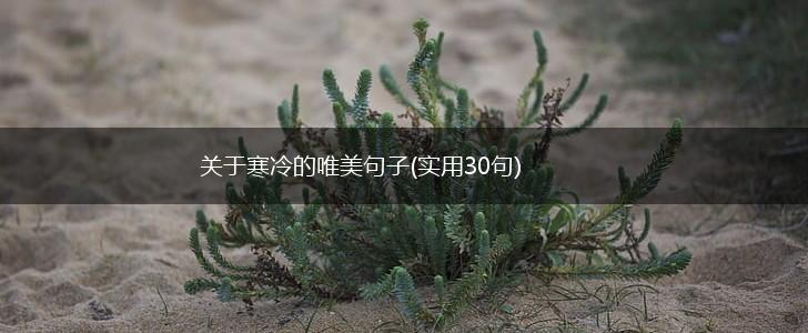 关于寒冷的唯美句子(实用30句),第1张