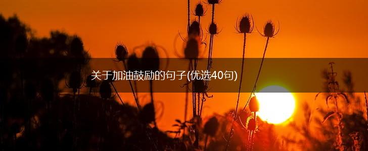 关于加油鼓励的句子(优选40句),第1张