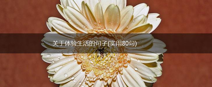 关于体验生活的句子(实用80句),第1张