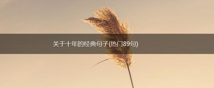 关于十年的经典句子(热门89句),第1张