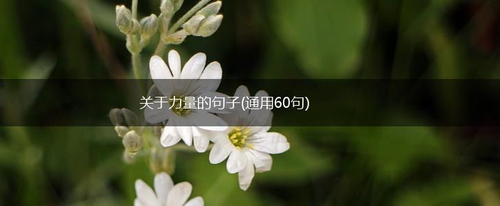关于力量的句子(通用60句),第1张