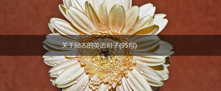 关于励志的英语句子(95句),第1张