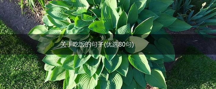 关于吃饭的句子(优选80句),第1张