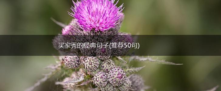 买家秀的经典句子(推荐50句),第1张