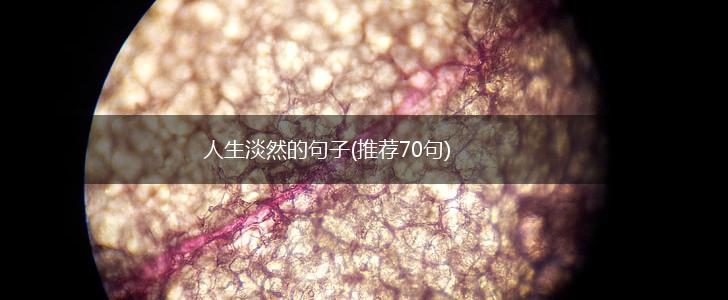 人生淡然的句子(推荐70句),第1张