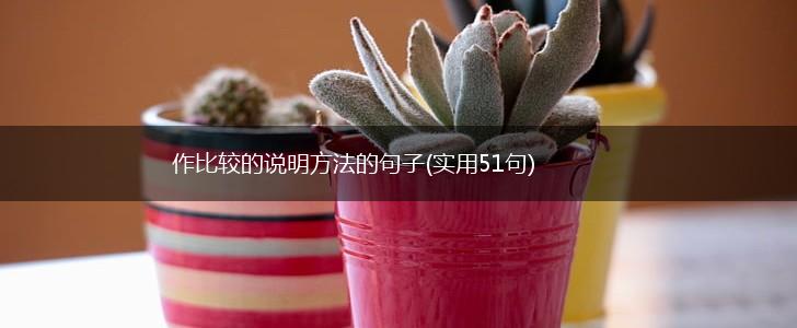作比较的说明方法的句子(实用51句),第1张