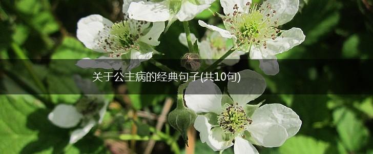 关于公主病的经典句子(共10句),第1张