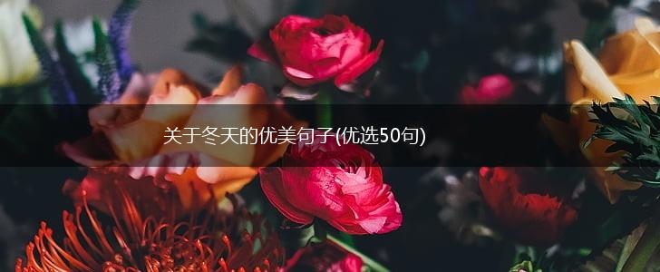 关于冬天的优美句子(优选50句),第1张