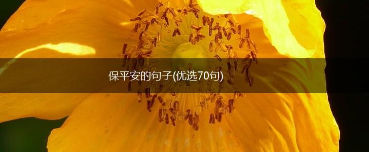 保平安的句子(优选70句),第1张