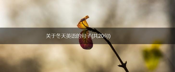 关于冬天英语的句子(共20句),第1张