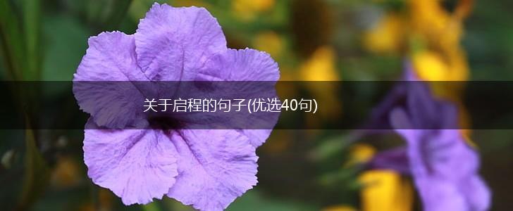 关于启程的句子(优选40句),第1张