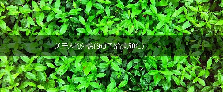 关于人的外貌的句子(合集50句),第1张