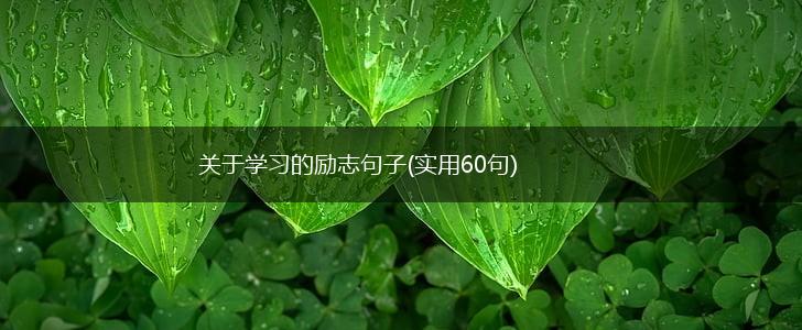关于学习的励志句子(实用60句),第1张