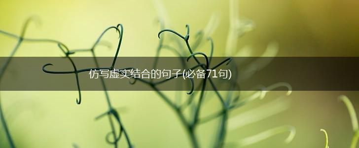 仿写虚实结合的句子(必备71句),第1张