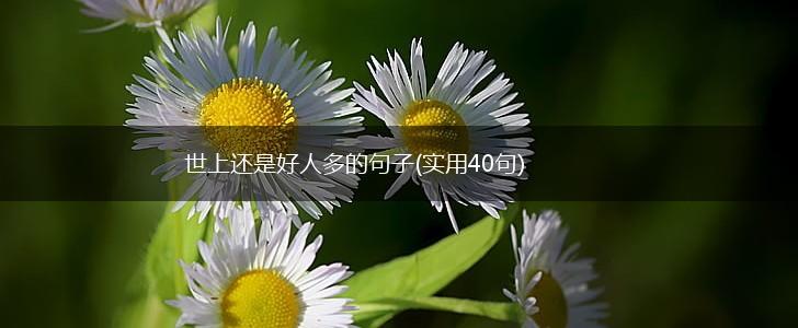 世上还是好人多的句子(实用40句),第1张