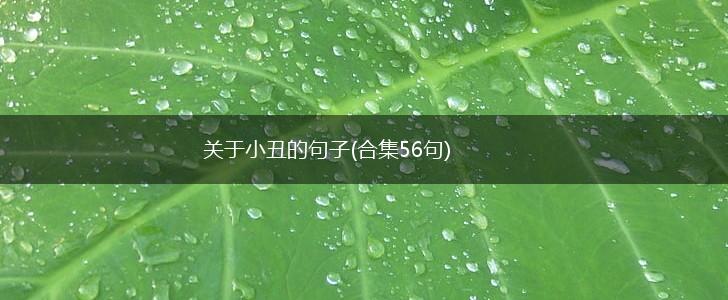 关于小丑的句子(合集56句),第1张
