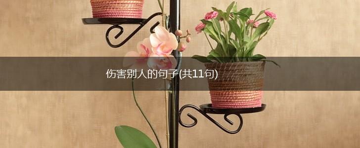 伤害别人的句子(共11句),第1张