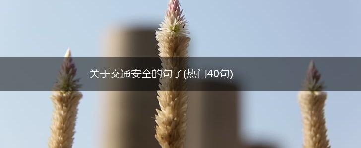 关于交通安全的句子(热门40句),第1张