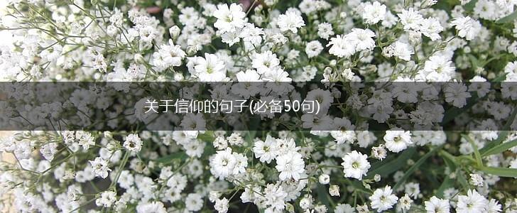 关于信仰的句子(必备50句),第1张