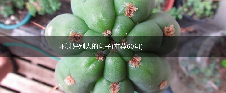 不讨好别人的句子(推荐60句),第1张