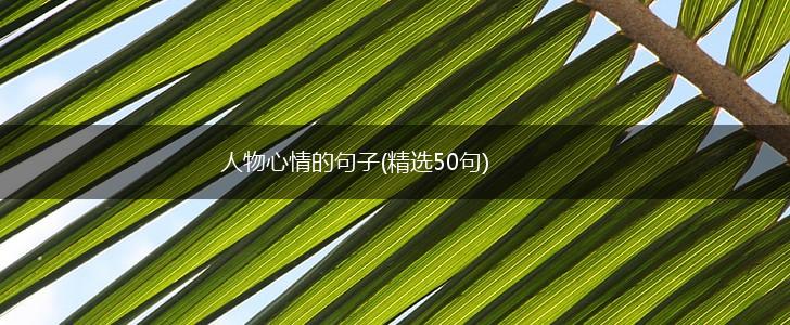 人物心情的句子(精选50句),第1张
