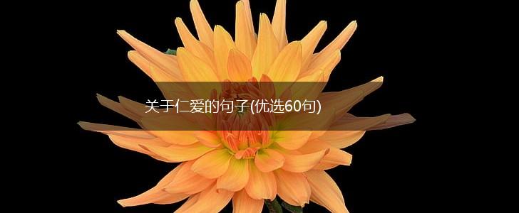 关于仁爱的句子(优选60句),第1张
