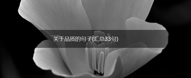 关于品质的句子(汇总33句),第1张