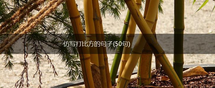 仿写打比方的句子(50句),第1张