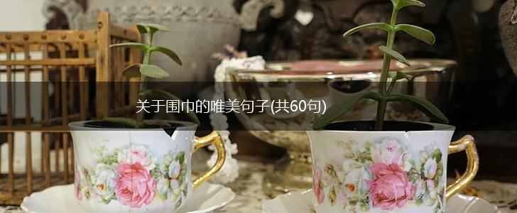 关于围巾的唯美句子(共60句),第1张