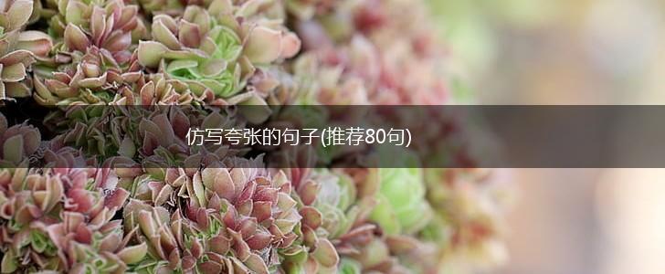 仿写夸张的句子(推荐80句),第1张